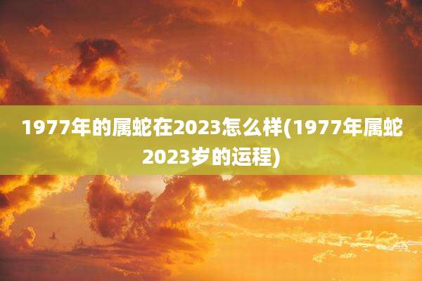 1977年的属蛇在2023怎么样(1977年属蛇2023岁的运程)