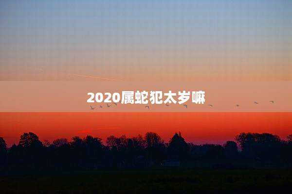 2020属蛇犯太岁嘛