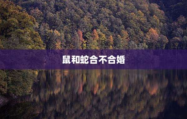 鼠和蛇合不合婚
