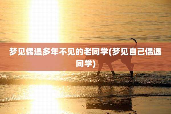 梦见偶遇多年不见的老同学(梦见自己偶遇同学)