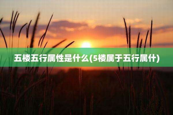 五楼五行属性是什么(5楼属于五行属什)