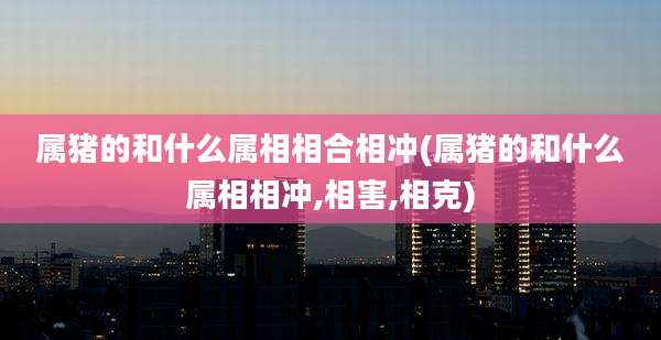 属猪的和什么属相相合相冲(属猪的和什么属相相冲,相害,相克)