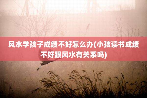 风水学孩子成绩不好怎么办(小孩读书成绩不好跟风水有关系吗)