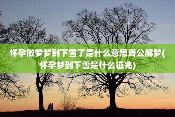 怀孕做梦梦到下雪了是什么意思周公解梦(怀孕梦到下雪是什么征兆)