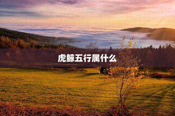 虎鲸五行属什么