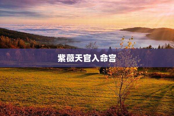 紫薇天官入命宫