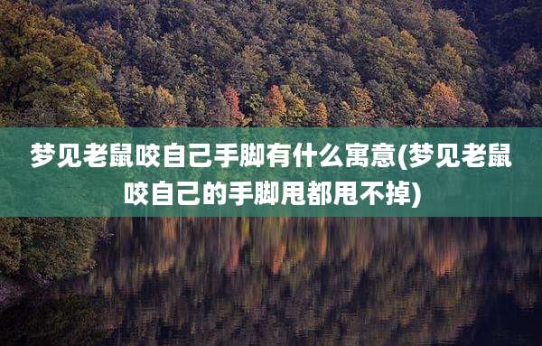 梦见老鼠咬自己手脚有什么寓意(梦见老鼠咬自己的手脚甩都甩不掉)
