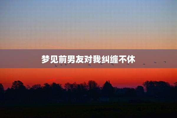 梦见前男友对我纠缠不休