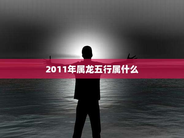 2011年属龙五行属什么
