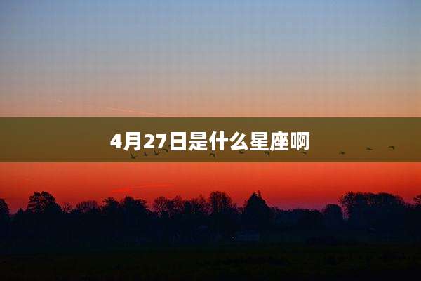 4月27日是什么星座啊