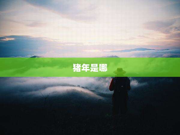 猪年是哪