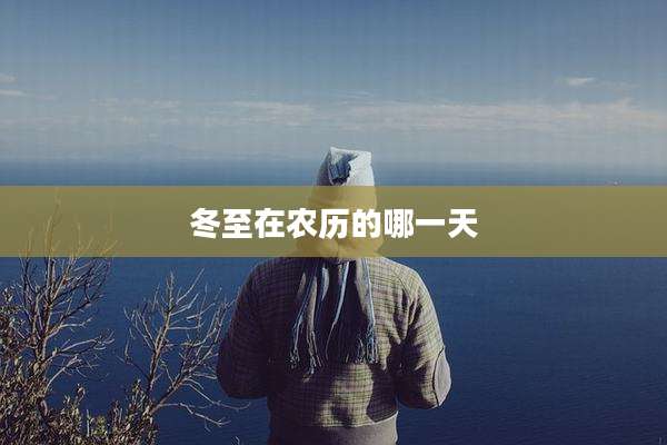 冬至在农历的哪一天