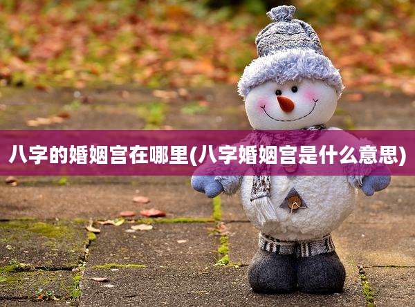 八字的婚姻宫在哪里(八字婚姻宫是什么意思)
