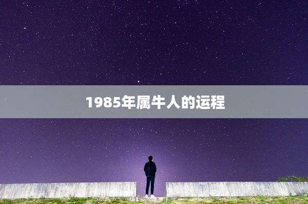 1985年属牛人的运程