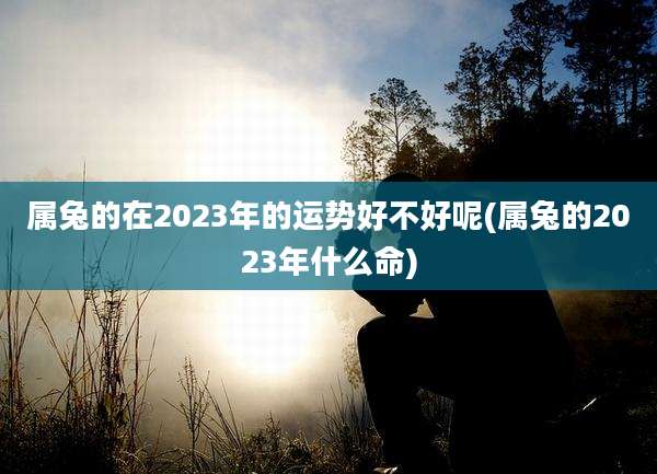 属兔的在2023年的运势好不好呢(属兔的2023年什么命)