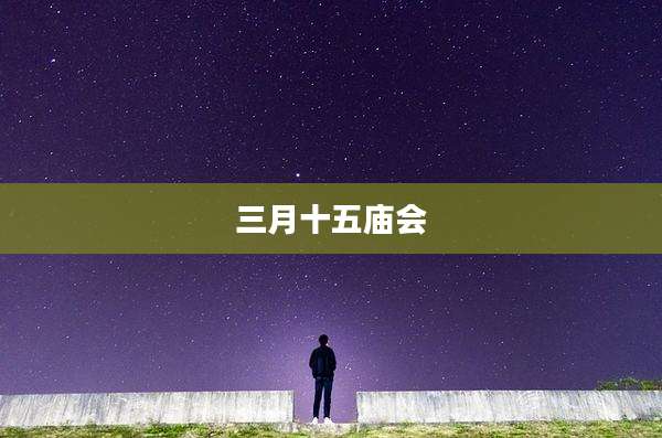 三月十五庙会