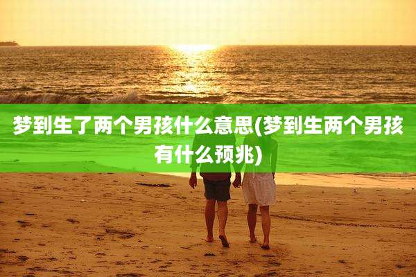梦到生了两个男孩什么意思(梦到生两个男孩有什么预兆)
