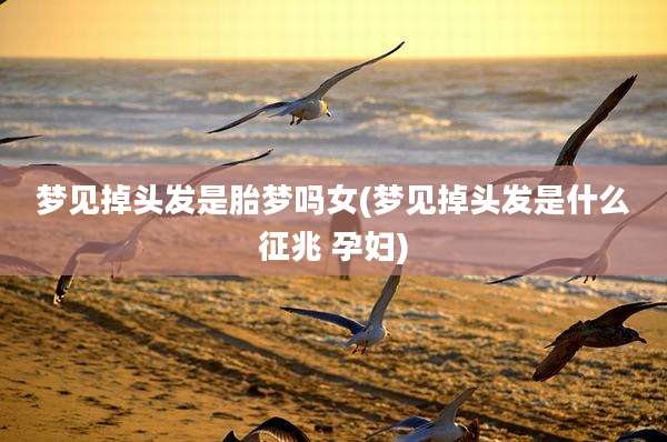 梦见掉头发是胎梦吗女(梦见掉头发是什么征兆 孕妇)