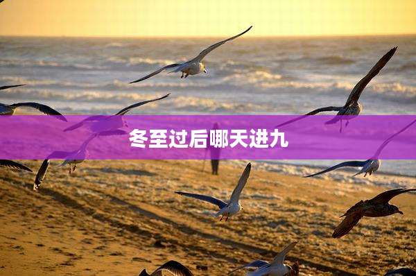 冬至过后哪天进九