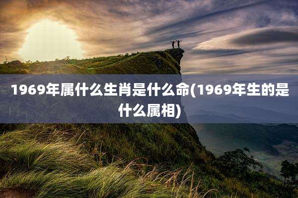 1969年属什么生肖是什么命(1969年生的是什么属相)