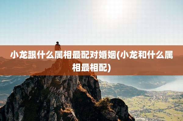小龙跟什么属相最配对婚姻(小龙和什么属相最相配)