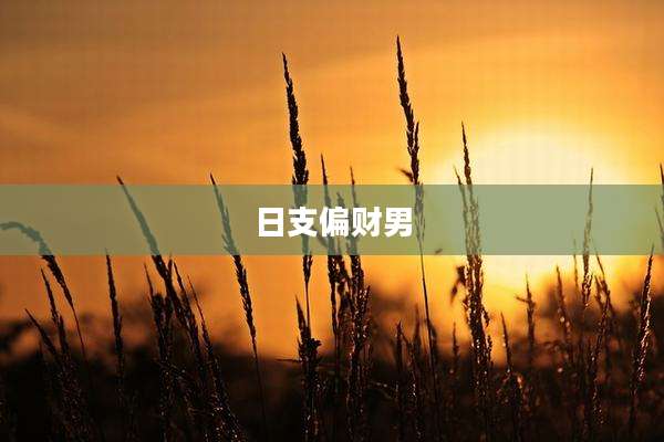 日支偏财男
