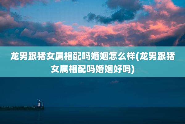 龙男跟猪女属相配吗婚姻怎么样(龙男跟猪女属相配吗婚姻好吗)