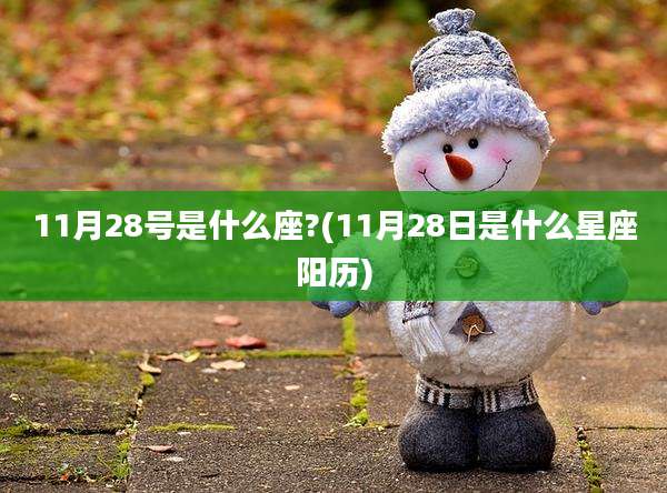 11月28号是什么座?(11月28日是什么星座阳历)