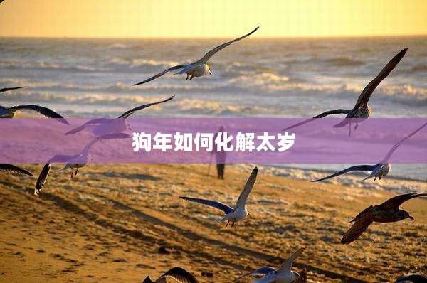 狗年如何化解太岁