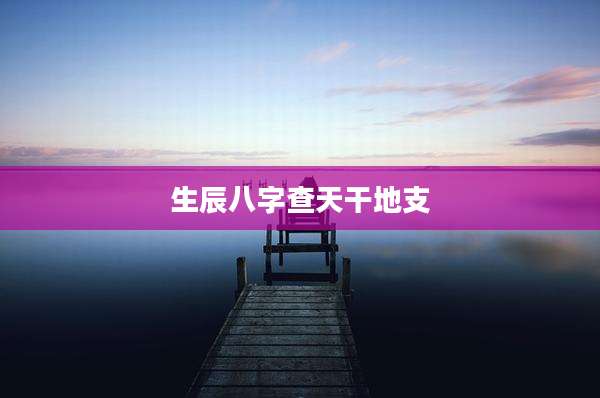 生辰八字查天干地支