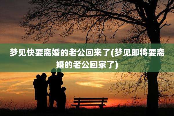 梦见快要离婚的老公回来了(梦见即将要离婚的老公回家了)