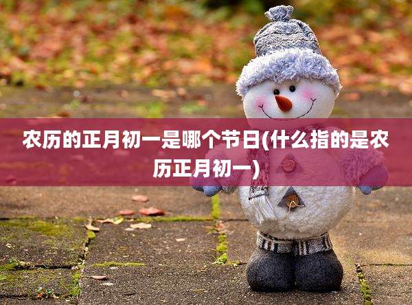 农历的正月初一是哪个节日(什么指的是农历正月初一)