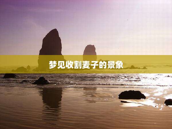 梦见收割麦子的景象