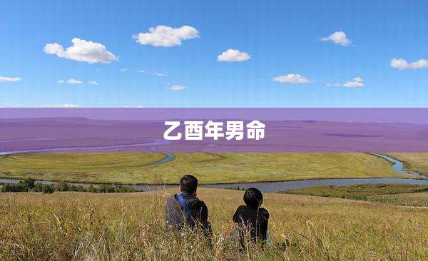 乙酉年男命