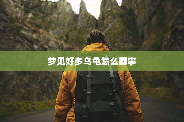 梦见好多乌龟怎么回事