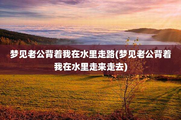 梦见老公背着我在水里走路(梦见老公背着我在水里走来走去)