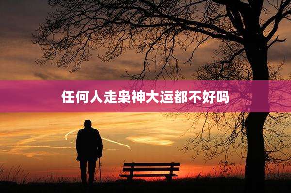 任何人走枭神大运都不好吗