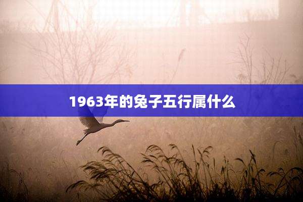 1963年的兔子五行属什么