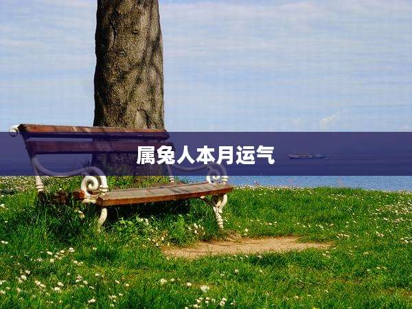 属兔人本月运气