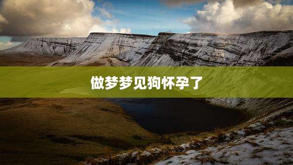 做梦梦见狗怀孕了