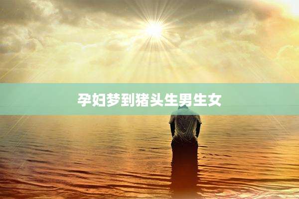 孕妇梦到猪头生男生女