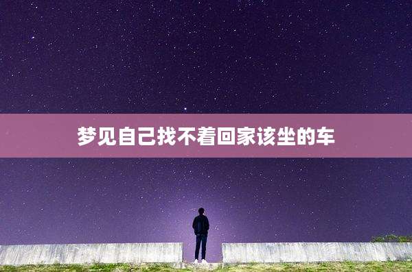 梦见自己找不着回家该坐的车