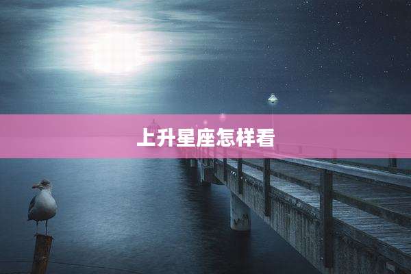 上升星座怎样看