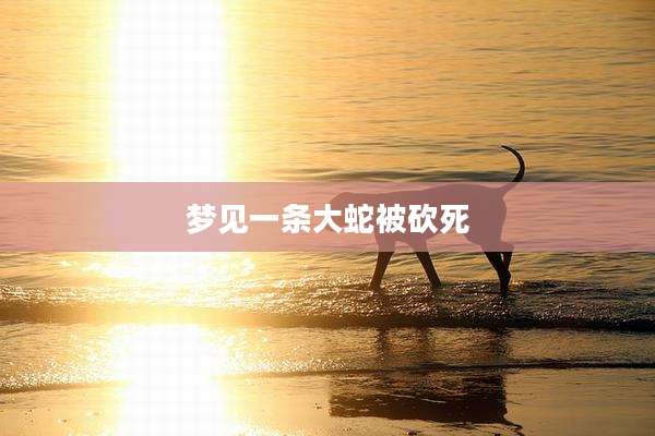 梦见一条大蛇被砍死