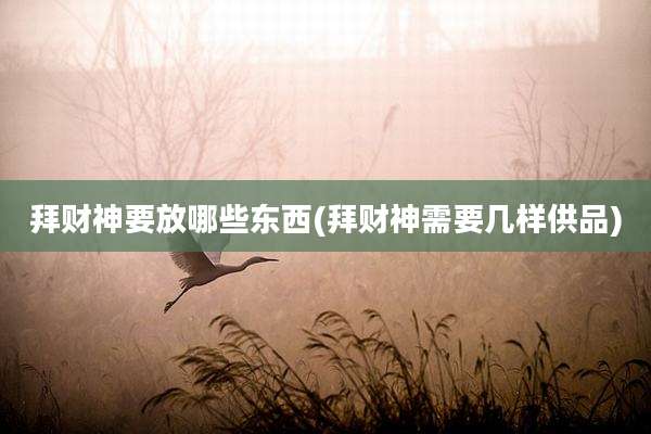 拜财神要放哪些东西(拜财神需要几样供品)
