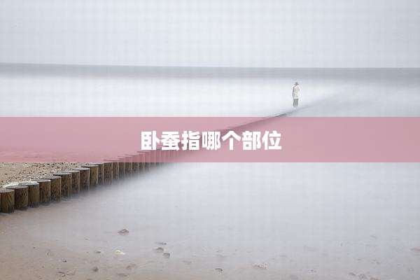 卧蚕指哪个部位