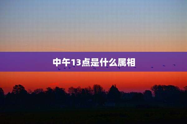 中午13点是什么属相