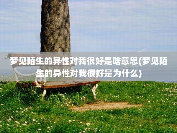 梦见陌生的异性对我很好是啥意思(梦见陌生的异性对我很好是为什么)