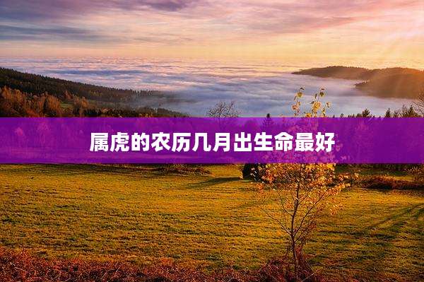 属虎的农历几月出生命最好