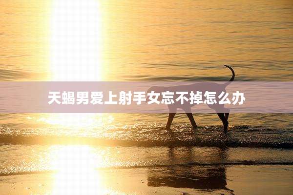 天蝎男爱上射手女忘不掉怎么办
